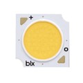 BXRE-30H1000-B-72 - V10B WARM WHITE LED ARRAY