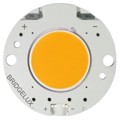BXRC-50E4000-F-24 - LED ARRAY 4000LM COOL WHITE COB