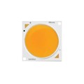 CXM-22-30-95-36-AC10-F3-3 - LED COB 3000K SQUARE