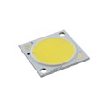 CXM-14-65-80-36-AA30-F4-5 - LED COB CXM14 COOL WHITE SQUARE