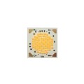 BXRV-TR-2765G-20A0-A-23-S2 - TW LED ARRAY, LES=13MM, INTEGRAT