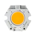 BXRC-27E1000-B-22 - LED ARRAY 1000LM WARM WHITE COB