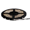 12V-NB-PW-12M - LED ENG NEU WHT 4200K 12M REEL