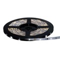 12V-NB-CW-12M - LED ENG COOL WHT 6000K 12M REEL