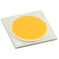 CXA2590-0000-000R0HAD50F - LED COB CXA2590 COOL WHT SQUARE