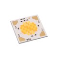 BXRV-TR-2750G-1000-A-26 - WHITE LED ARRAY 2700K 5 SDCM CSP