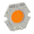 BXRC-20B1001-D-73 - LED COB GEN7 2000K STARBOARD