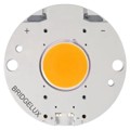 BXRC-50G2000-C-24 - LED ARRAY 2000LM COOL WHITE COB