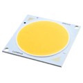 CXM-27-30-80-36-AA00-F2-2 - LED COB WHT 26.5MM 3000K 80CRI