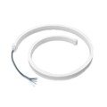 4548 - RGBW NEON-LIKELED FLEX STRIP - W