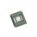 SBT-70-B-F75-KG300 - LED SBT70 BLUE 445NM 2SMD