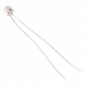 6832 - LAMP INCAND RT-1 WIRE TERM 5V