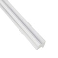 PL1629ASST - LENS FROSTED ASYMMETRICAL