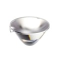 10392 - LENS CLEAR 10-23DEG SPOT SNAP IN
