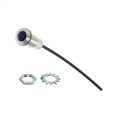 FLXR2BTP08 - RUGGD FLEX LIGHTPIPE CLR 8" BLU