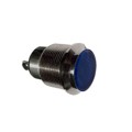 6301803304F - 30MM FLT BL 12VDC W/TERM