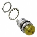 5563705304F - LED PNL MT 1" 125V YEL DOME PMI