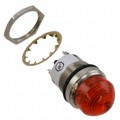 5563903304F - LED PNL MT 1" 24V WT DOME ORG