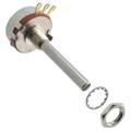 RV4NAYSJ101A - POT 100 OHM 2W CARBON LINEAR