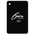 MGDBK10QF - DC DC CONVERTER