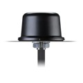 MA850.A.LBICG.001 - RF ANT 829MHZ/1.94GHZ DOME SMA
