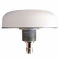 33-3600-01-11 - RF ANT 1.621GHZ DOME TNC FEMALE