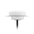 G24.A.W.305111 - RF ANT 850/900MHZ DOME SMA MALE