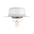 MA510.C.W.CG.002 - RF ANT 2.4GHZ/5.3GHZ DOME RP-SMA