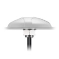 MA600.W.A.ABC.001 - RF ANT 892MHZ/1.6GHZ DOME SMA ML