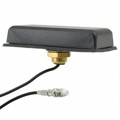 TANGO1/1M/FMEF/S/S/4 - RF ANT 850MHZ/900MHZ MODULE FME