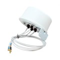 OP24516SX-91RSMM - ANT IN/OUT 802.11N 6PORT 36"