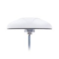 STS.01.A.0115FB - SPARTAN STS.01 WHITE IRIDIUM TRA
