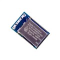 317030213 - RX TXRX MOD BLE CHIP SMD