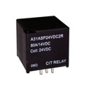 A31ASP24VDC2R - RELAY AUTO HD SPST 24VDC PCB RES