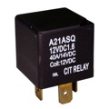 A21ASQ24VDC1.6 - RELAY AUTO SPST 24VDC QC