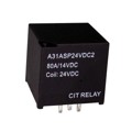A31ASP24VDC2 - RELAY AUTO HD SPST 24VDC PCB