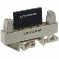 MS11-CXE240D5 - SSR RELAY SPST-NO 5A 12-280V