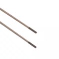 F03-01 CHITAN - ELECTRODE 1M TITANIUM