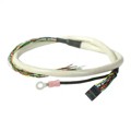 AMT-17C-1-036 - AMT ENCODER CABLE 17CONDUCTOR