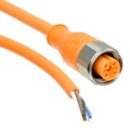 Y92ES12PVC4S5ML - M12 4W SUS CONN 5M STRAIGHT
