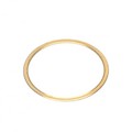 2000029560 - SPACER RING 0.25 MM, C-MOUNT, BR
