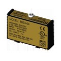 8B34-04 - LINEARIZED 2-/3-WIRE RTD INPUT