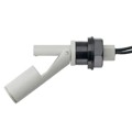 RSF76Y100RN - FLOATSWITCH HORZ .6A NO/NC PPS