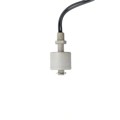 RSF56Y100R1/8 - FLOATSWITCH VERT .6A NO/NC PPS