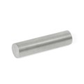 55.3-AN-8-25 - STEEL ROD-SHAPED RAW MAGNET