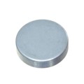 8810/013 - RARE EARTH MAGNET