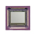 NOII5SC1300A-QDC - SENSOR IMAGE COLOR CMOS 84-LCC