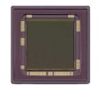 NOIL1SC4000A-GDC - IC IMAGE SENSOR 4MP 127-PGA
