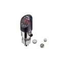 8381.G6.2530.32.PA.P1.44.ZS.Z1.Z2 - SENSOR 50PSIG 1/4"NPT 10V CYL