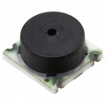 TBPLPNN100PGUCV - SENSOR PRESSURE GAUGE